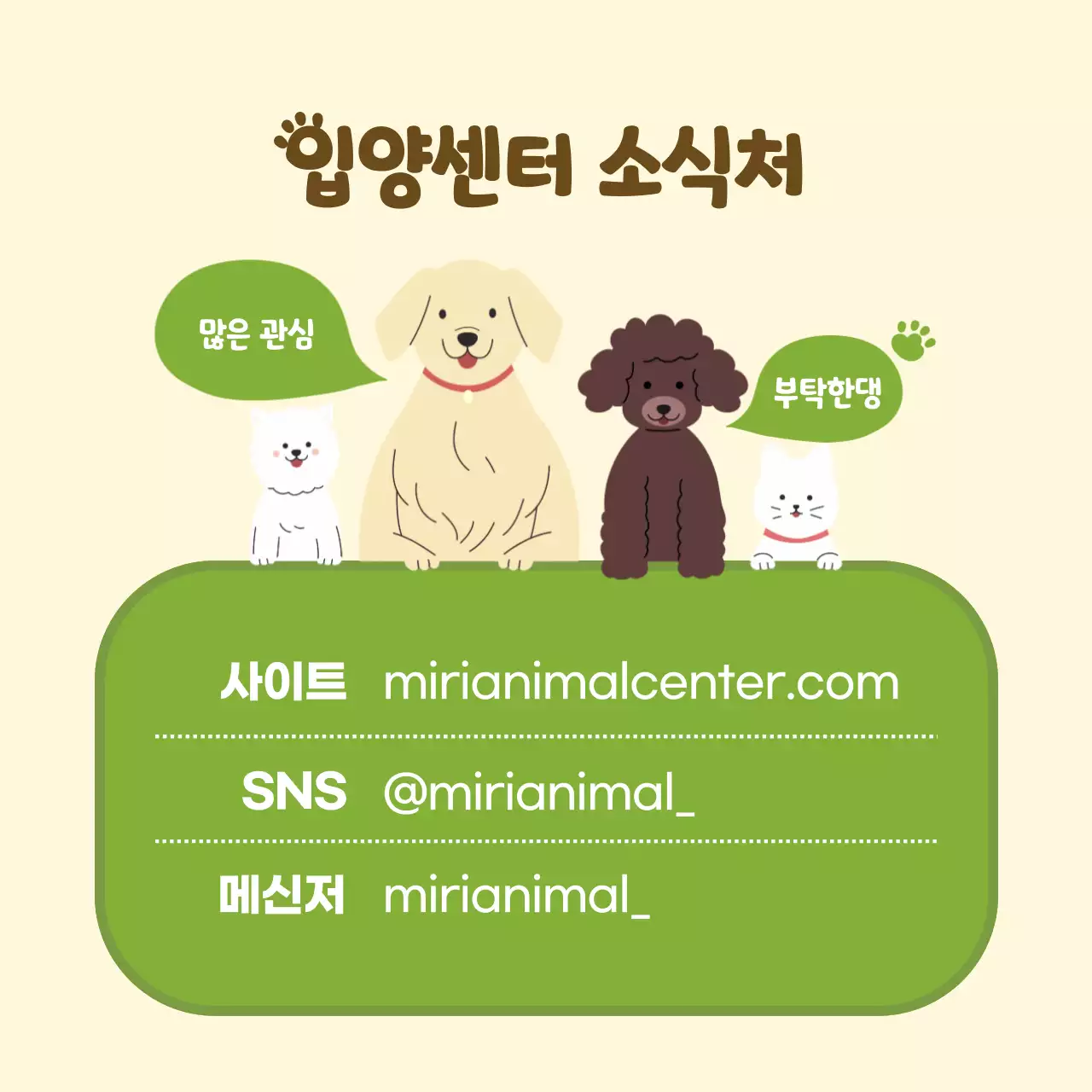 노랑과 초록의 아기자기한 유기반려동물 입양센터 홍보