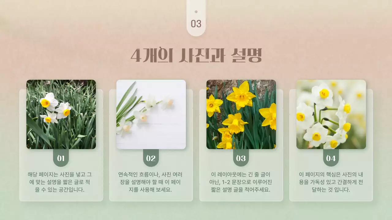 핑크색과 노랑의 심플한 겨울꽃 발표자료