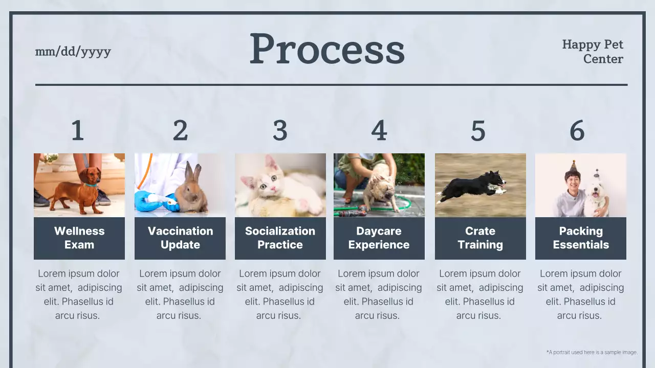 블루모던펫뉴스 발표 프리젠테이션