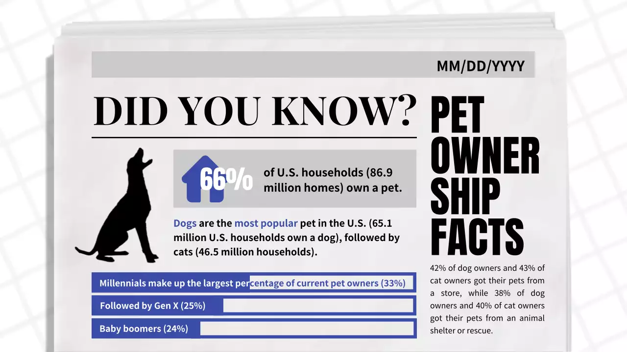 Blue Classic Pet Promotion Presentation