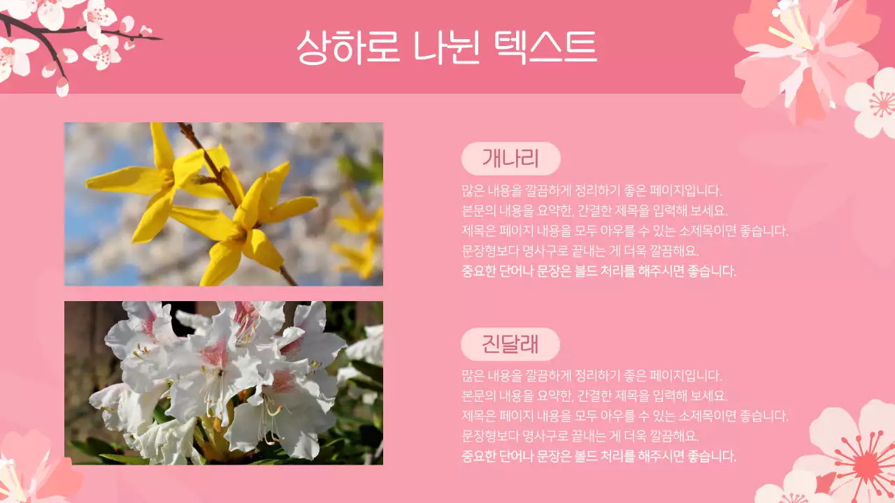 핑크색과 하늘색의 아기자기한 봄 사랑과 감사를 담은 봄 꽃 기획서