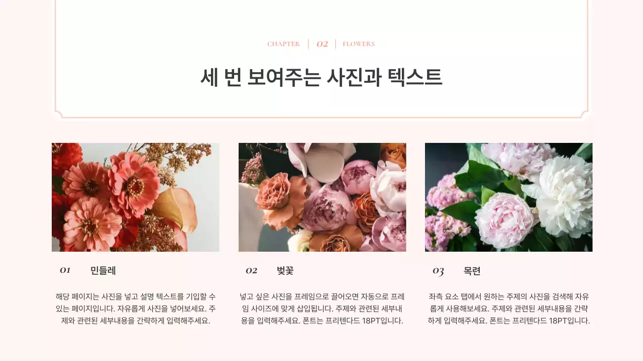 핑크와 아이보리의 고급스러운 수채화 꽃 배경 기획서