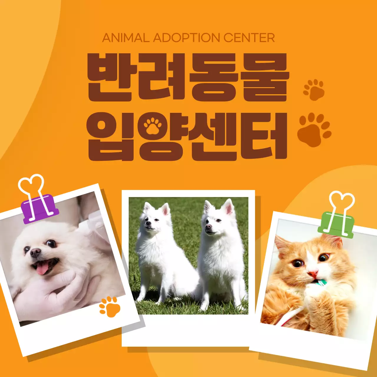주황색의 아기자기한 스타일 반려동물 입양센터 홍보