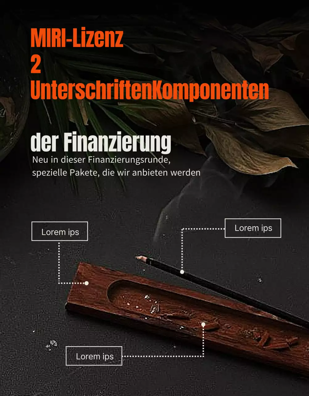 Ein klassischer Leitfaden für Fördermittel mit orangefarbenen Akzenten