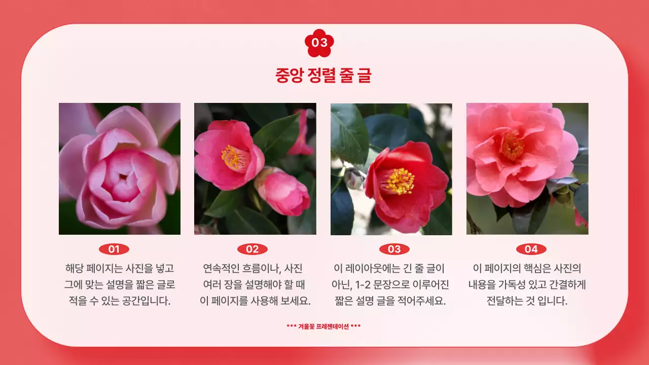 빨강과 하늘색 컬러 배경의 깔끔한 겨울 꽃 기획서