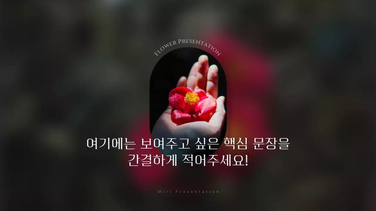 빨강과 남색의 고급스러운 겨울 동백꽃 발표자료