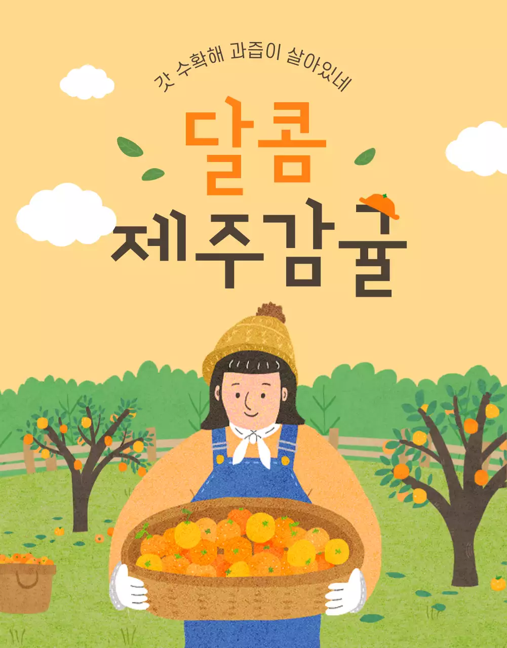 주황색의 아기자기한 감귤 홍보