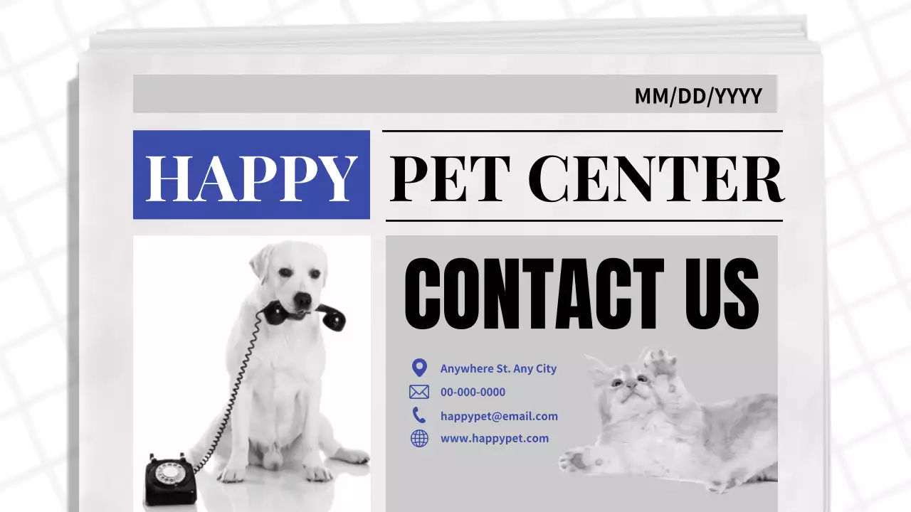 Blue Classic Pet Promotion Presentation