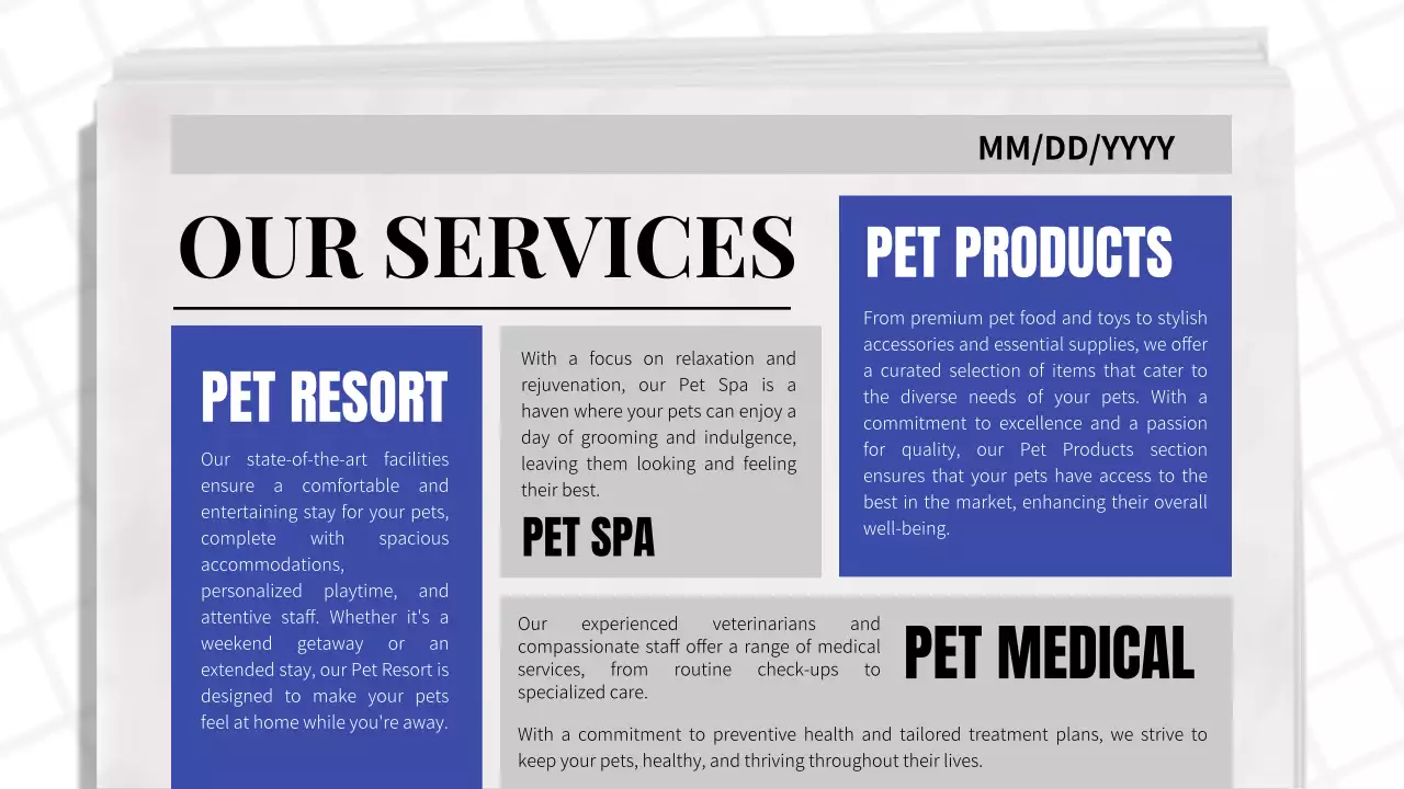 Blue Classic Pet Promotion Presentation