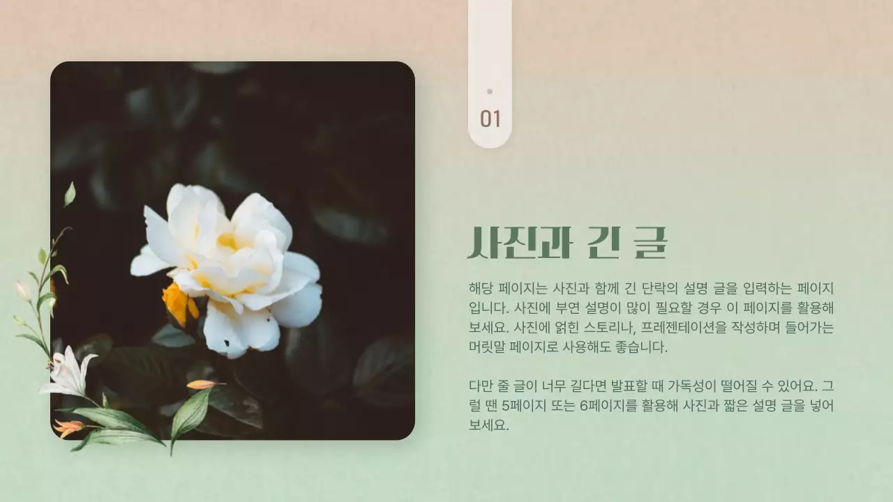 핑크색과 노랑의 심플한 겨울꽃 발표자료