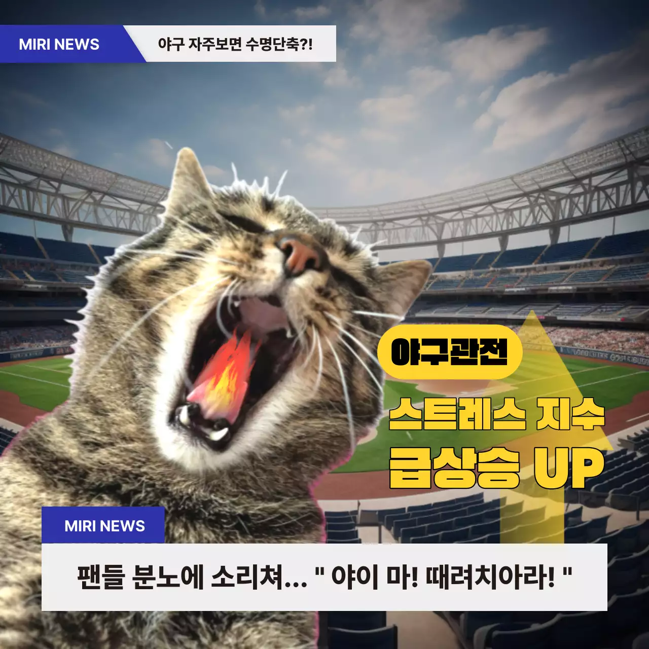 노랑과 파랑의 병맛 야구밈 짤