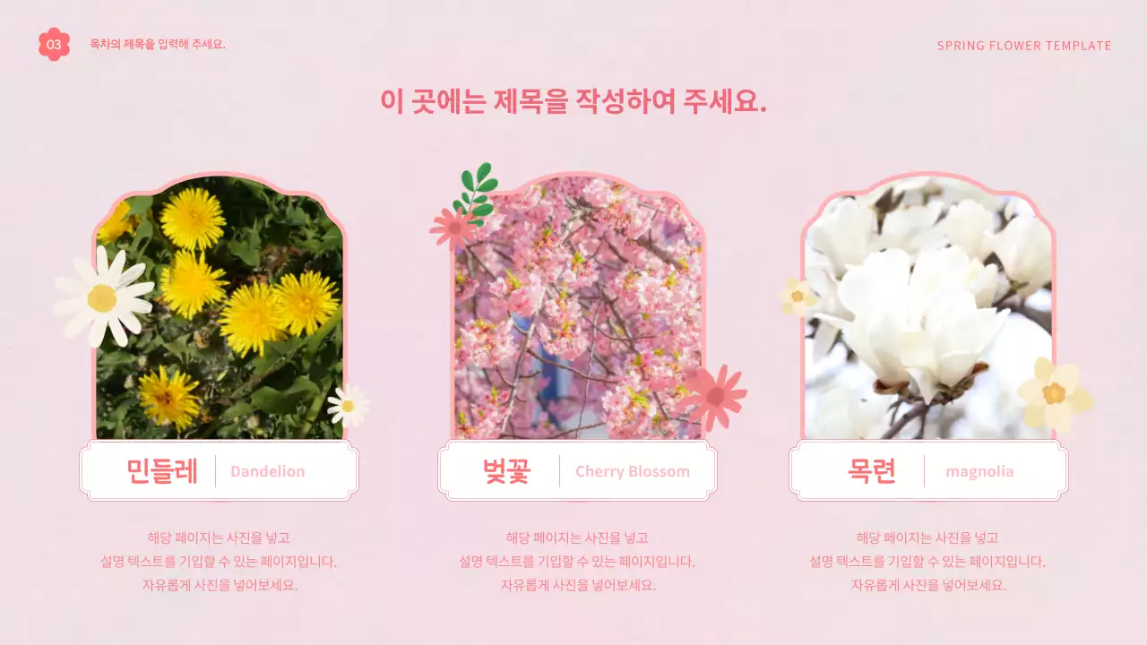 핑크색과 흰색의 아기자기한 봄 꽃의 템플릿 제안서