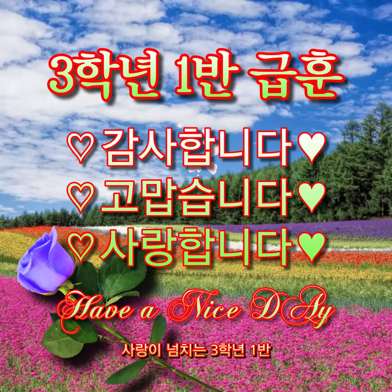 빨강과 형광색의 개그의 학교 급훈 짤