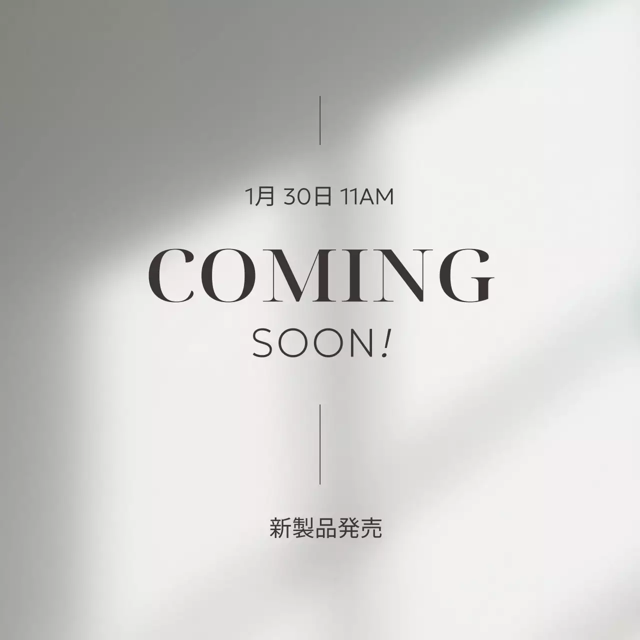 オフホワイトの背景に影のイメージがある高級感のあるシンプルな広報。