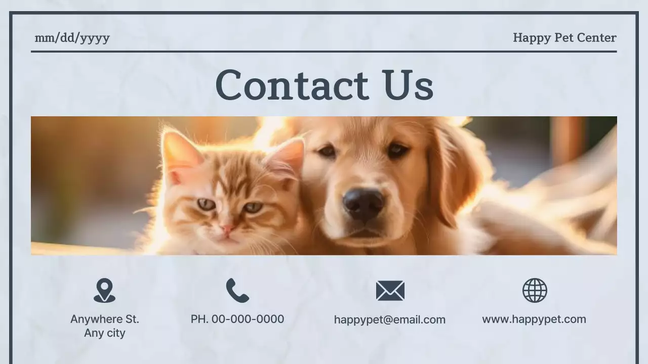 블루모던펫뉴스 발표 프리젠테이션