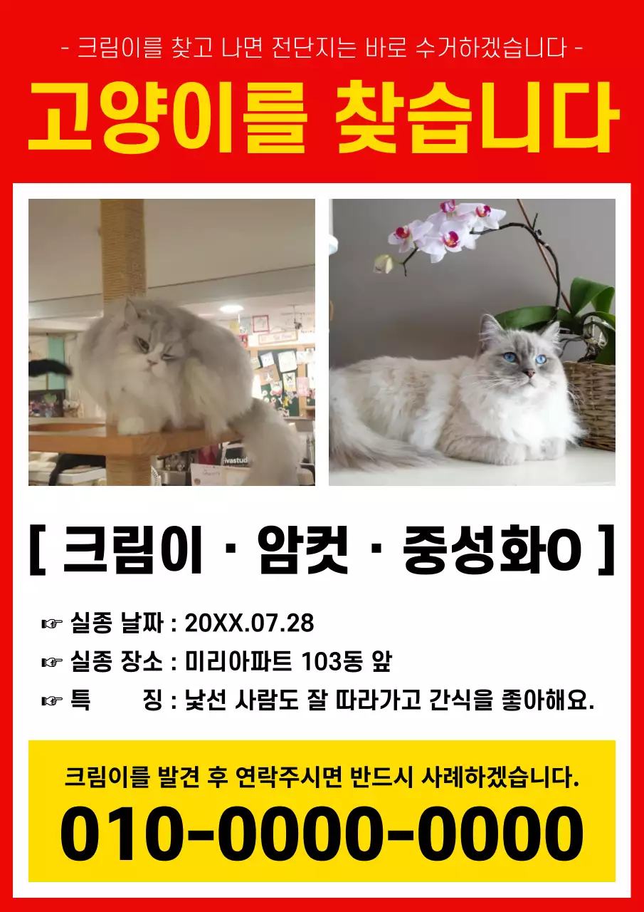 빨강과 노랑의 기본적인 반려동물 실종 게시글