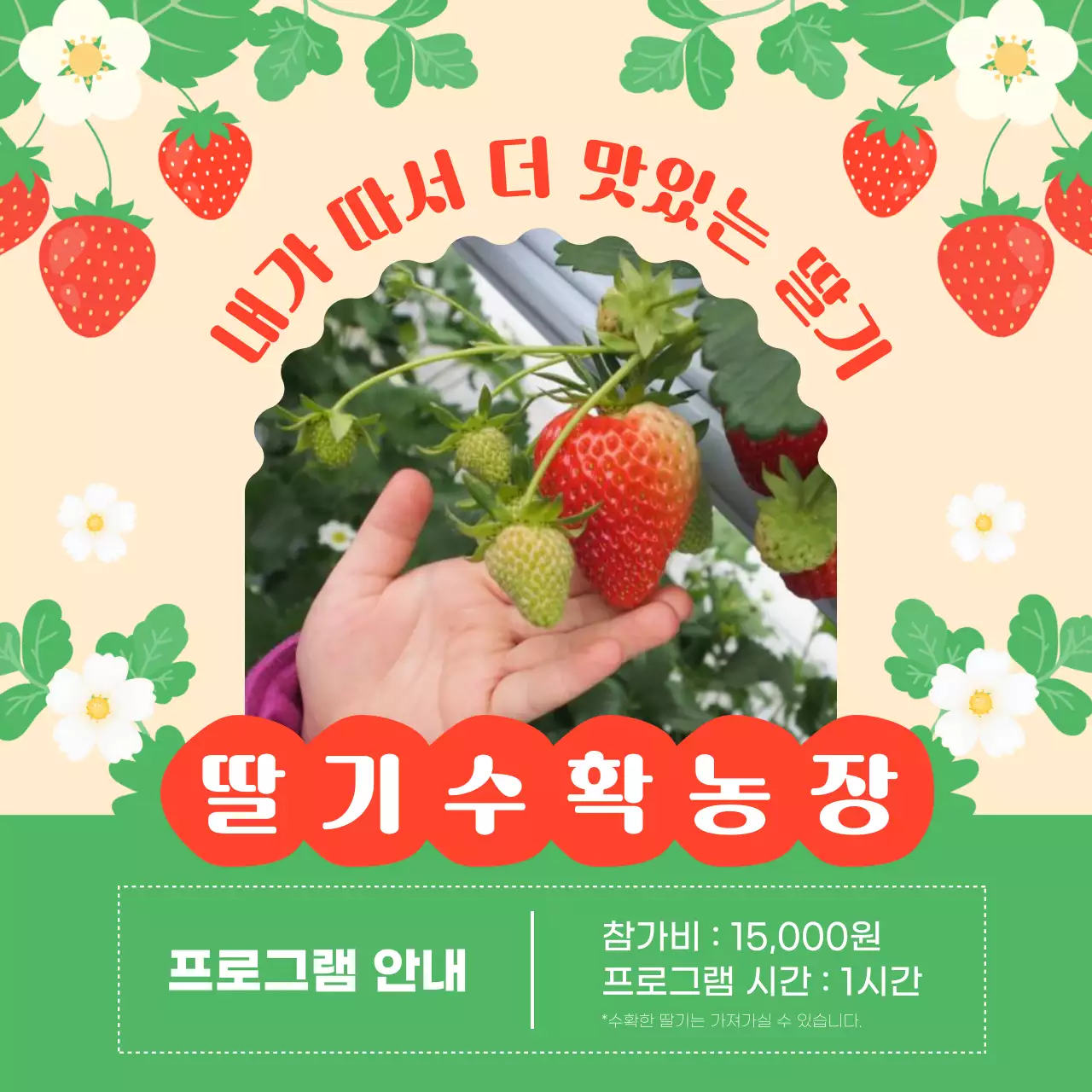 빨강과 초록의 아기자기한 딸기 수확 농장 홍보