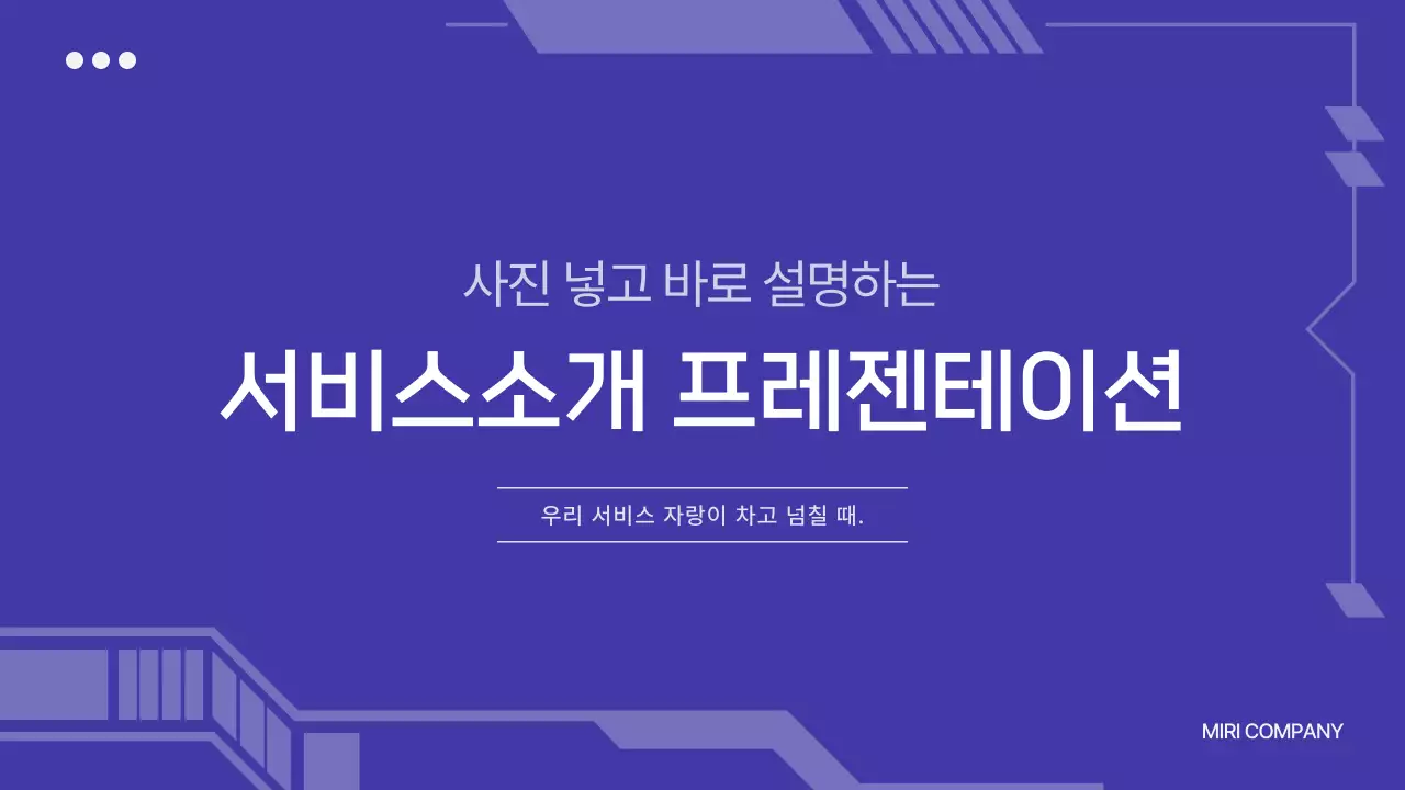 보라의 사이버의 서비스 소개서