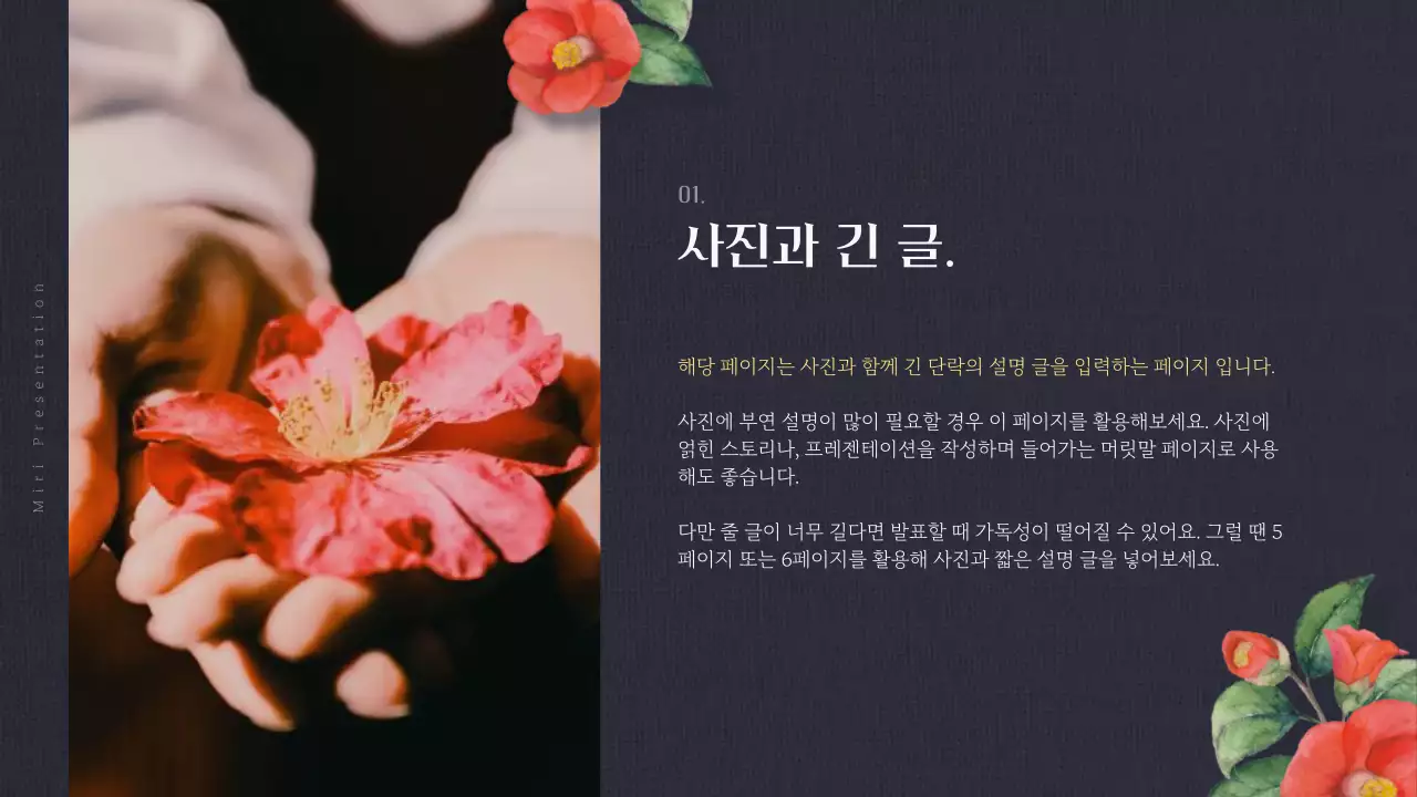 빨강과 남색의 고급스러운 겨울 동백꽃 발표자료