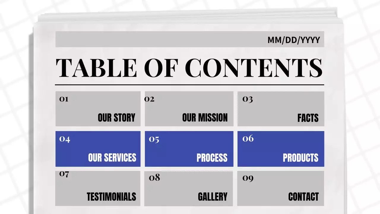 Blue Classic Pet Promotion Presentation