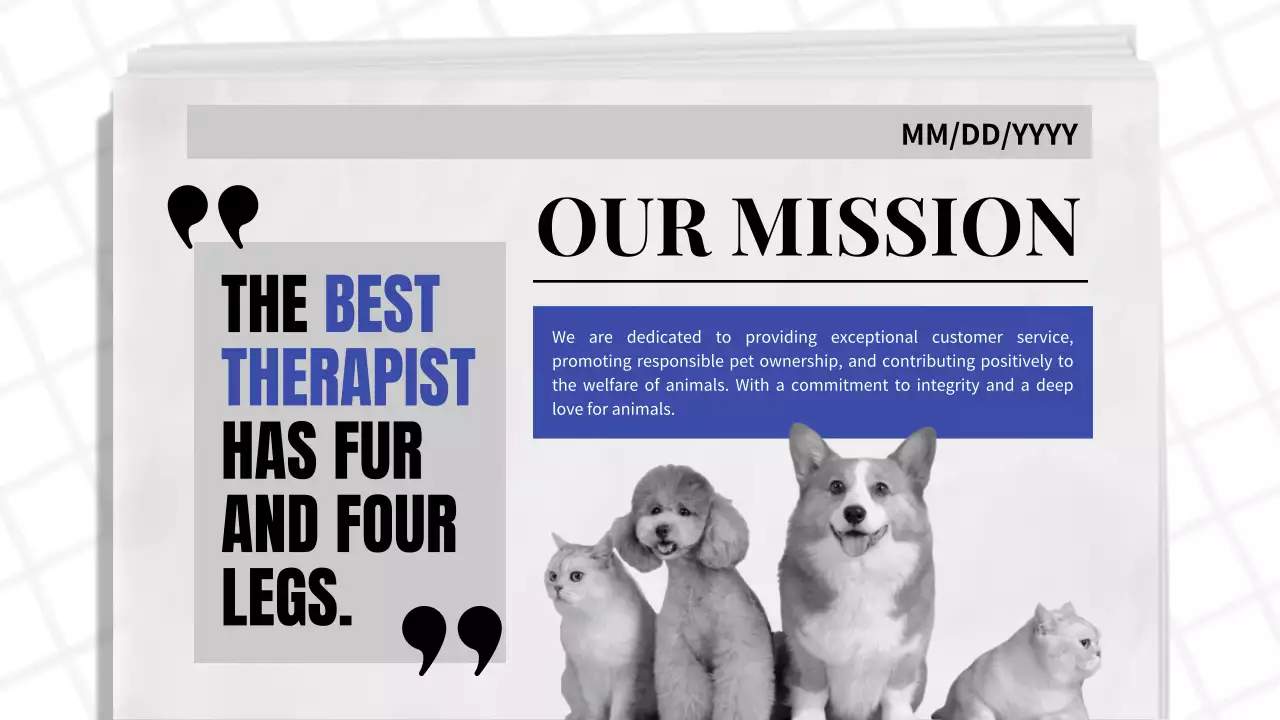 Blue Classic Pet Promotion Presentation