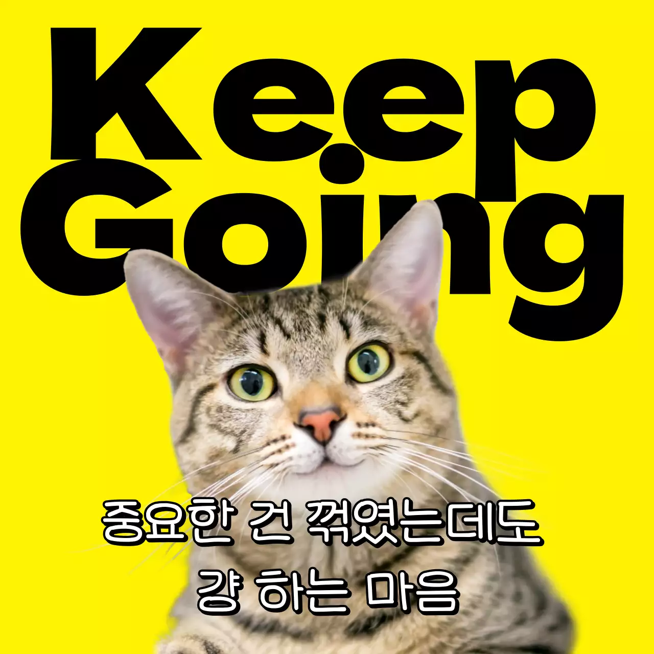 노랑과 검정의 개그 밈 짤