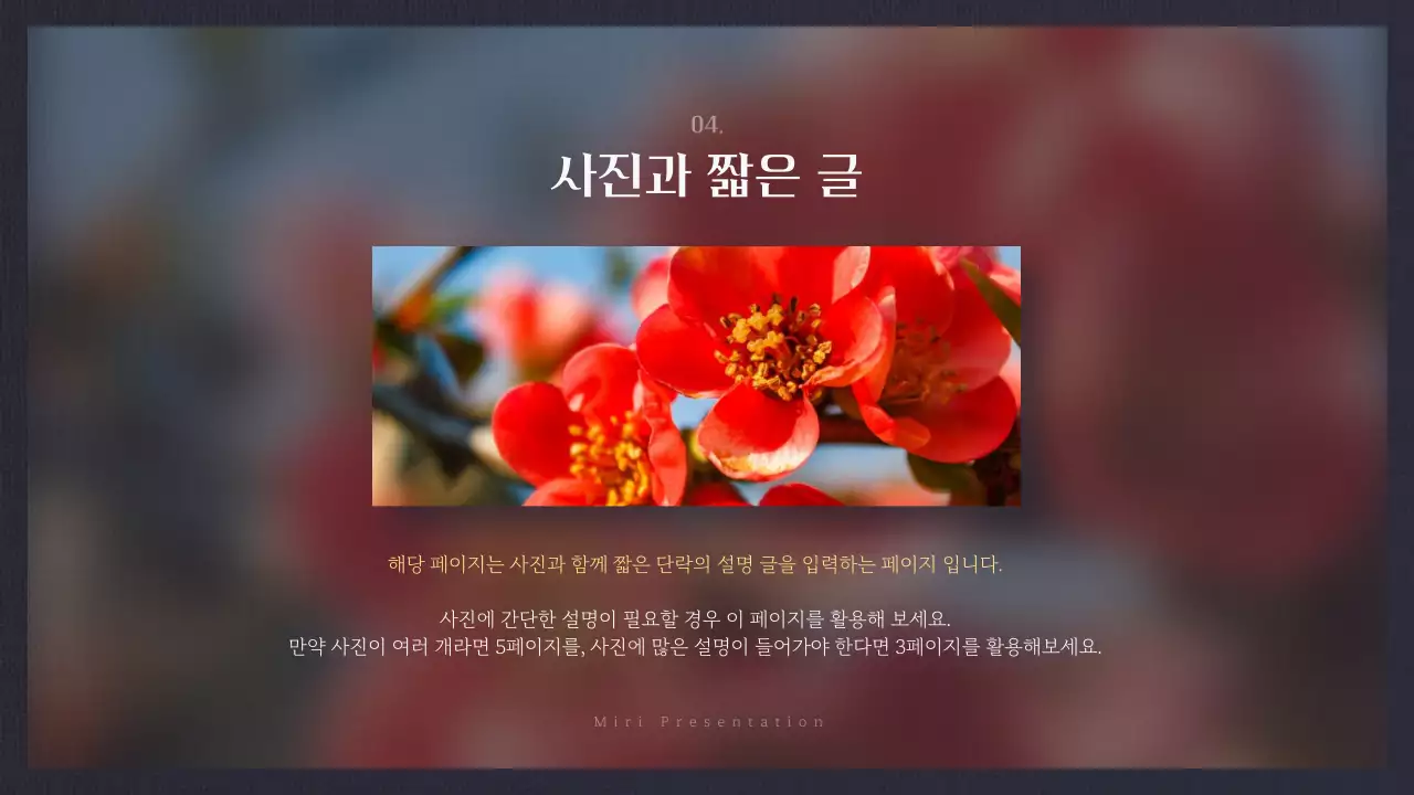 빨강과 남색의 고급스러운 겨울 동백꽃 발표자료