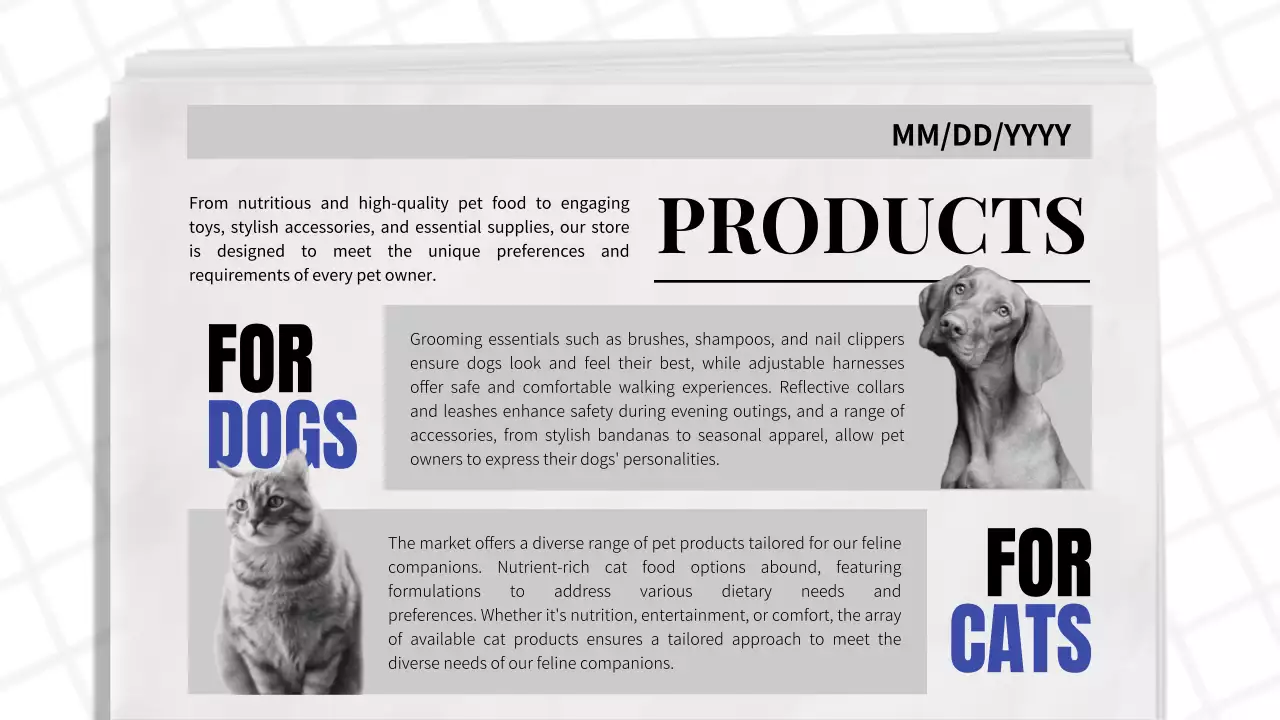 Blue Classic Pet Promotion Presentation