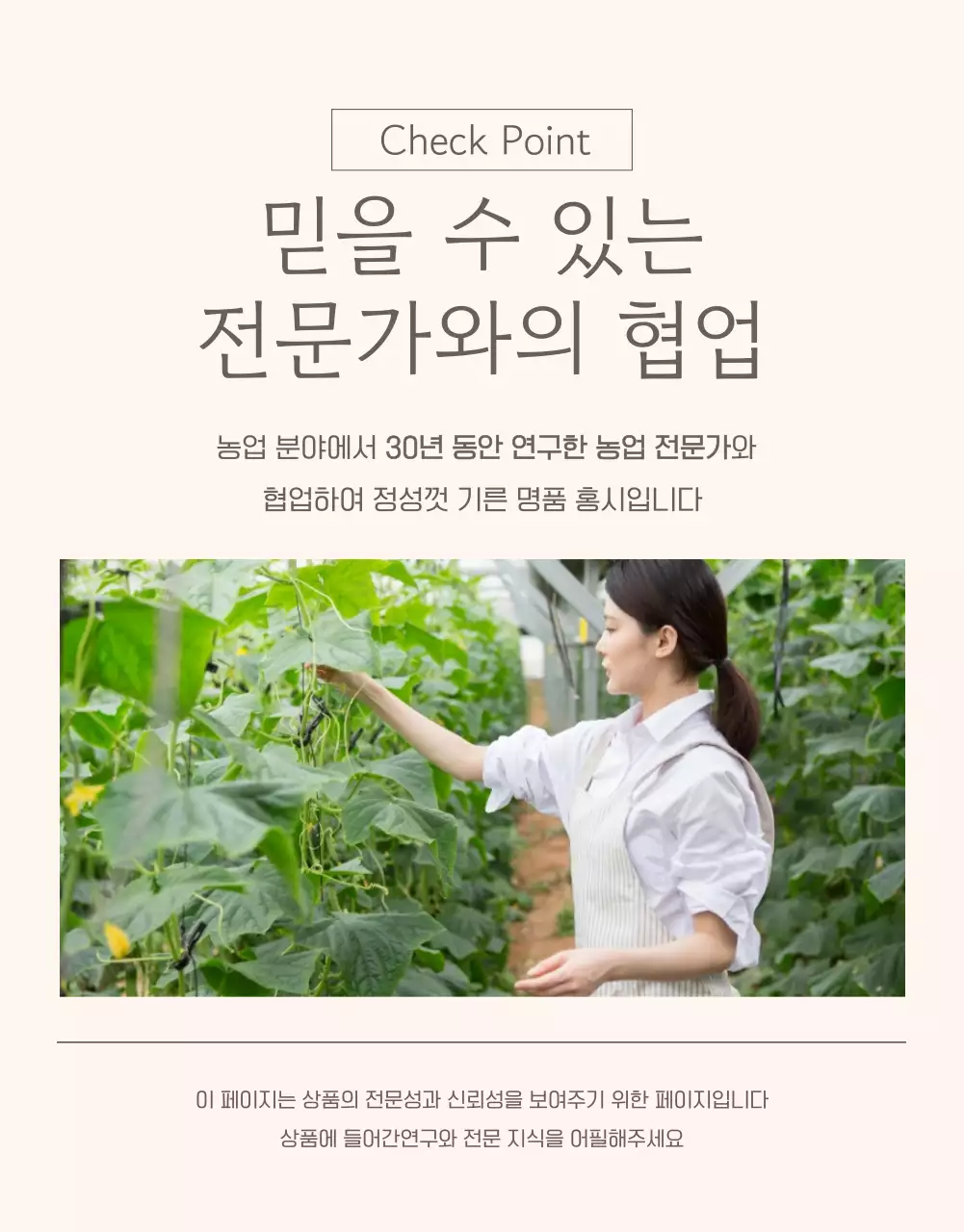 베이지색과 갈색의 미니멀한 과일 상품 정보