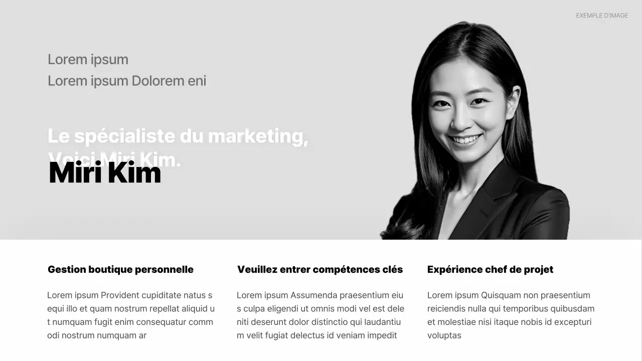 Portefeuille de CV simple sur fond blanc