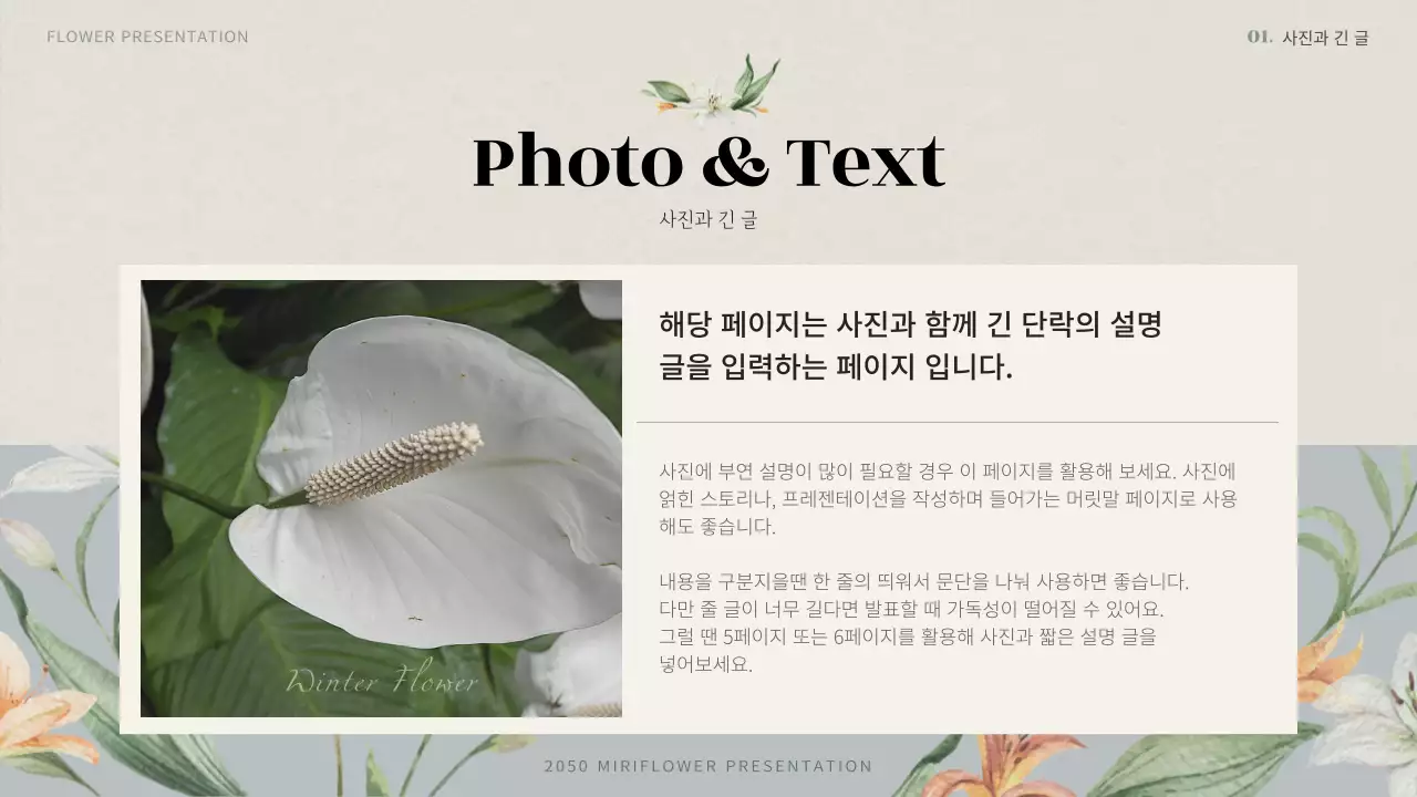 하늘색의 빈티지 겨울꽃 제안서