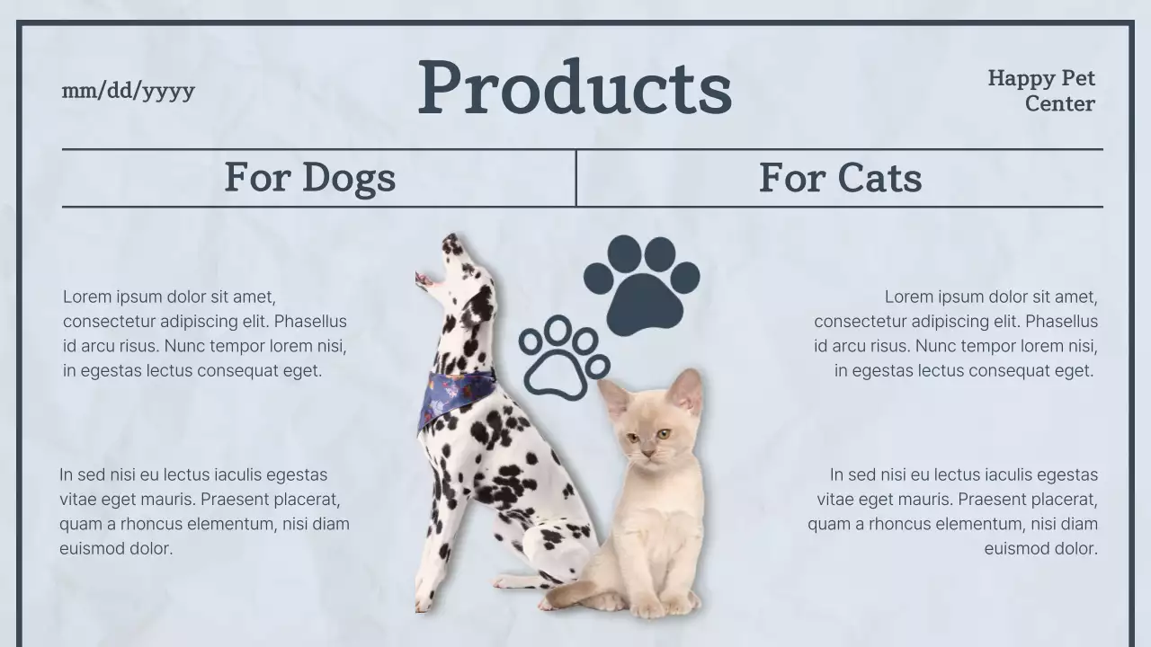 블루모던펫뉴스 발표 프리젠테이션