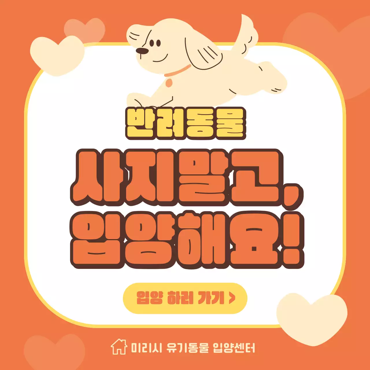 주황과 노랑의 트렌드한 반려동물 입양 안내서