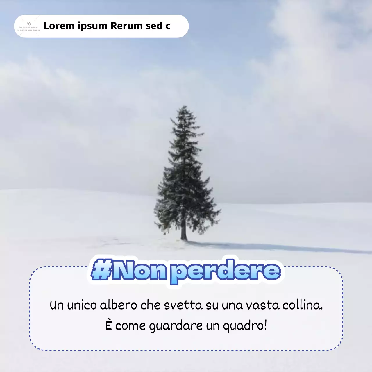 Consigli di viaggio per un semplice inverno bianco e blu in Giappone
