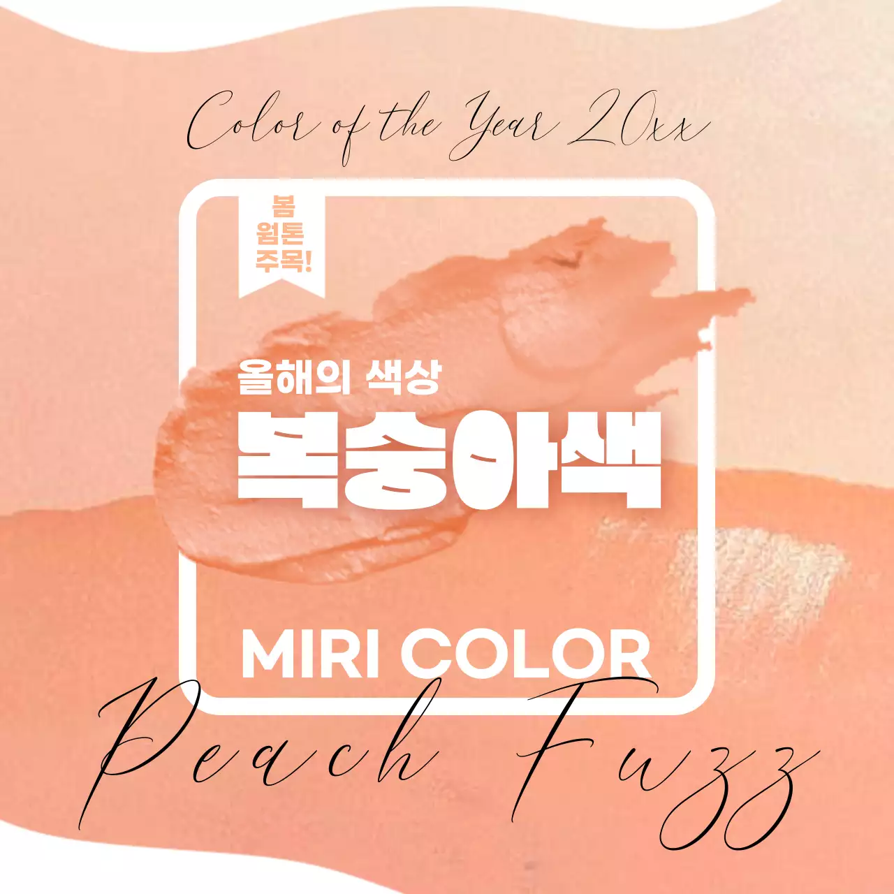 주황색의 고급스러운 복숭아색 홍보