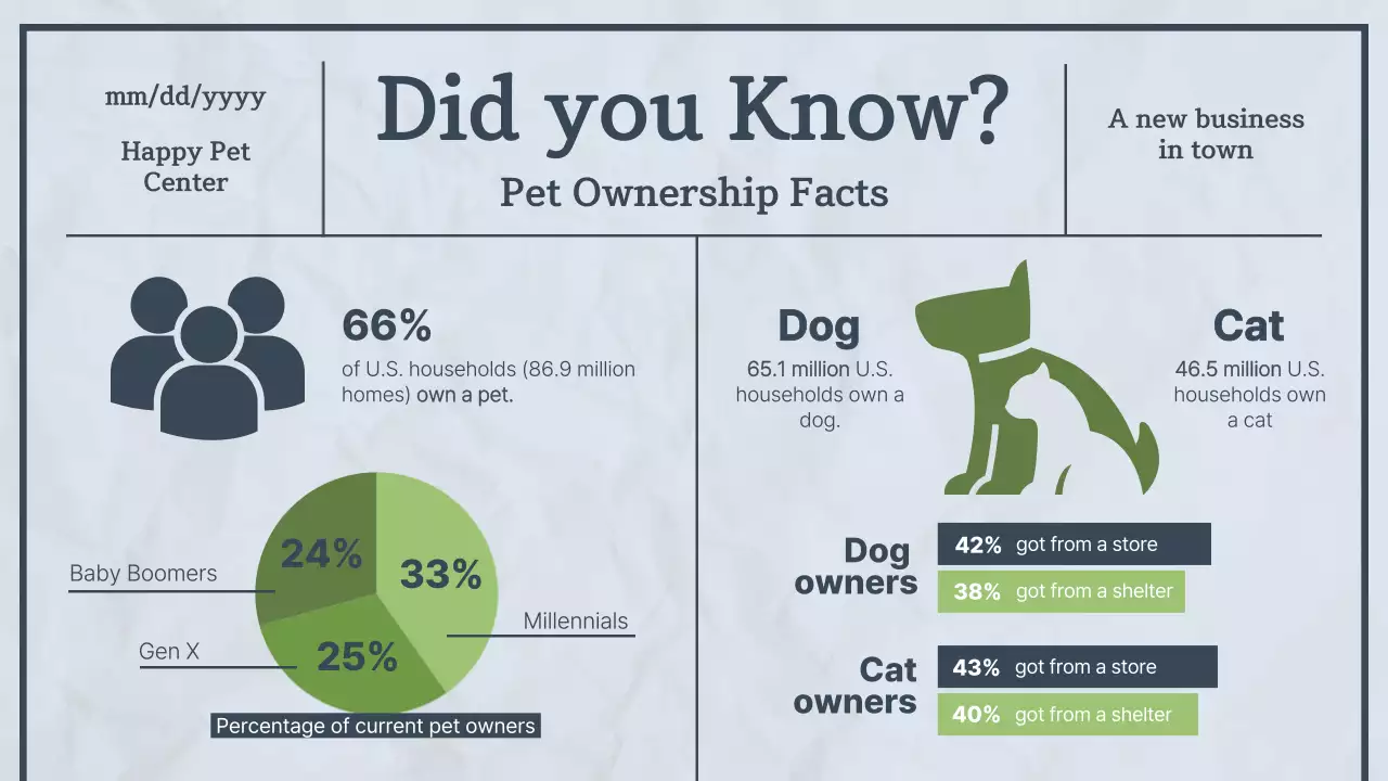 블루모던펫뉴스 발표 프리젠테이션