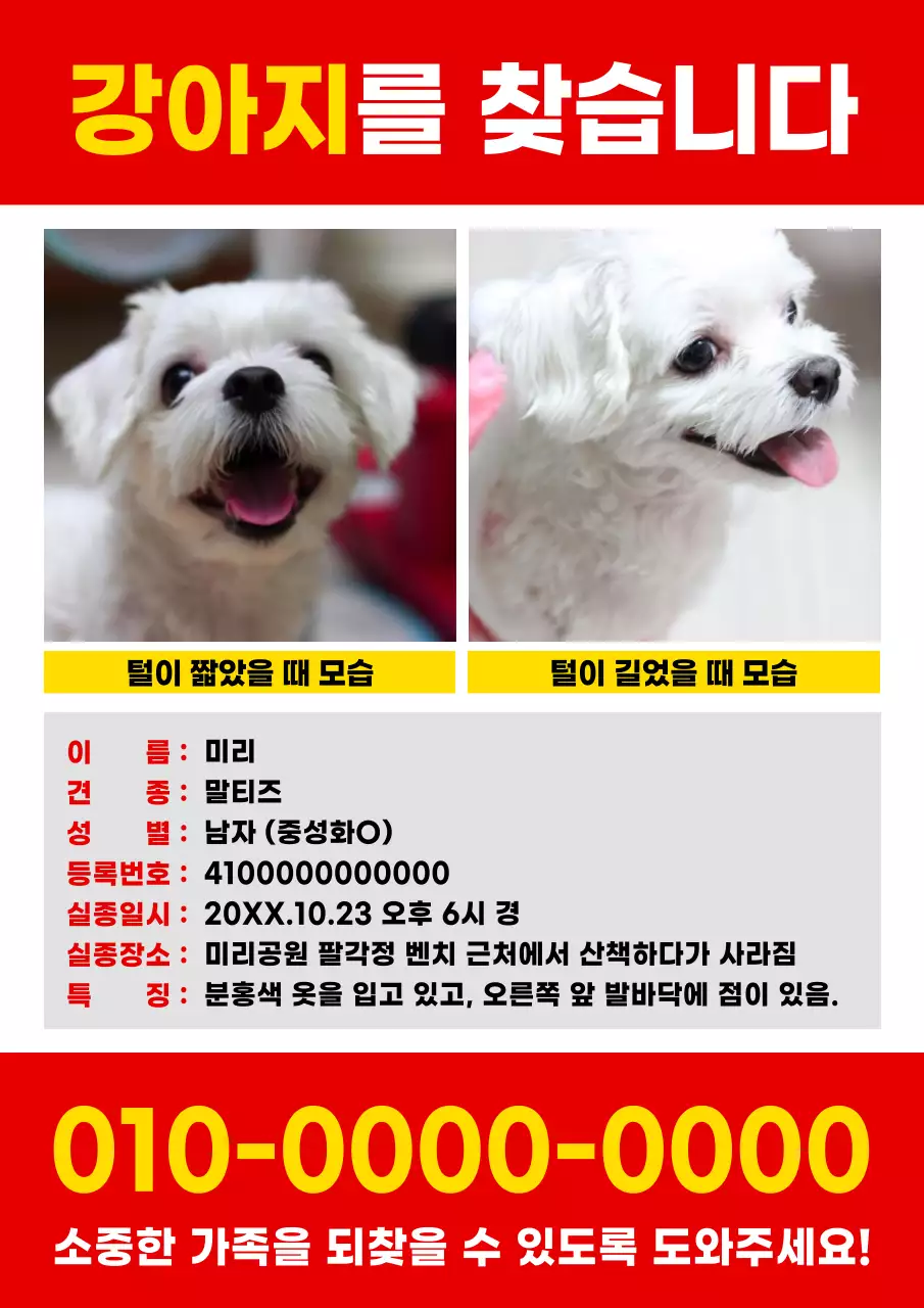 빨강과 노랑의 심플한 반려동물 실종 전단지