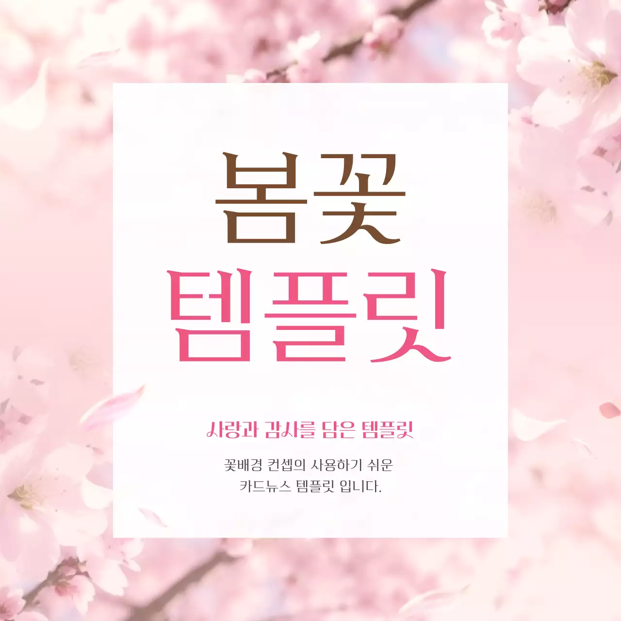 핑크와 자연의 감사와 사랑을 담은 봄 벚꽃 감성 게시글