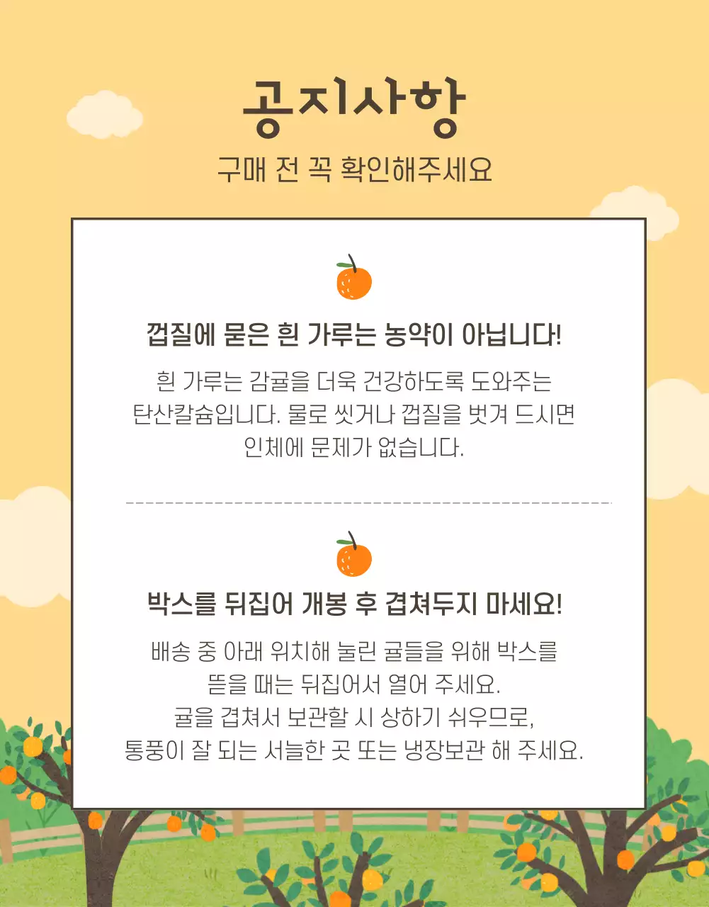 주황색의 아기자기한 감귤 홍보