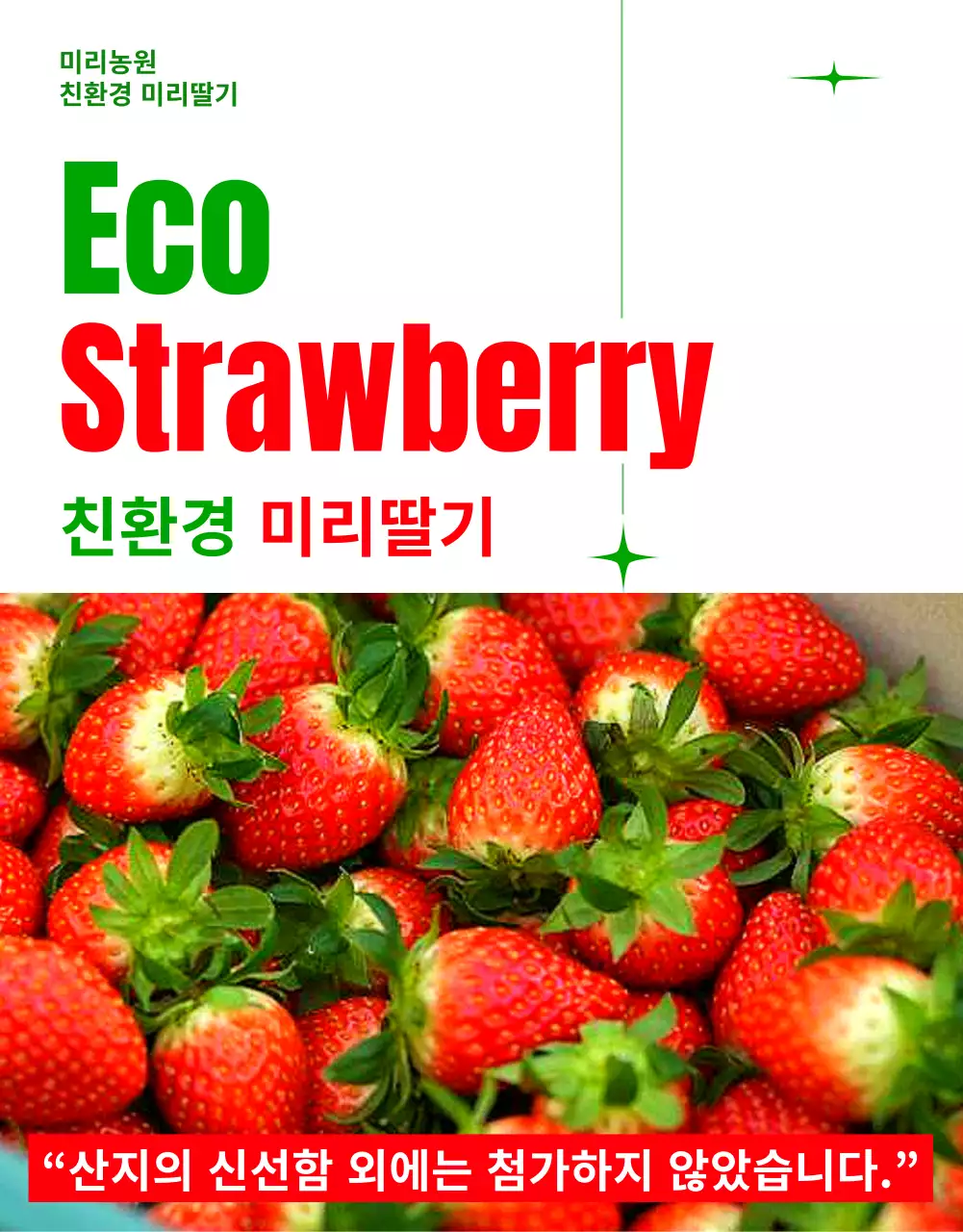 빨강과 초록색의 심플한 친환경 딸기 홍보