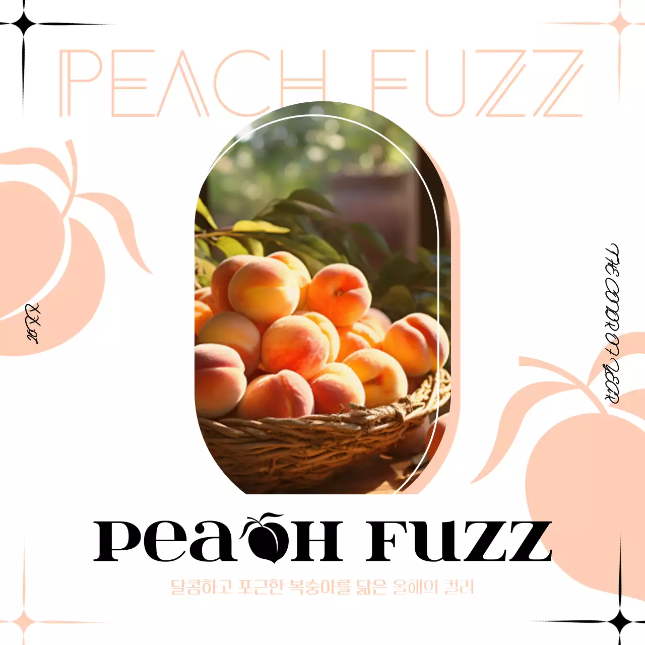 주황색과 흰색의 심플한 올해의 컬러 광고