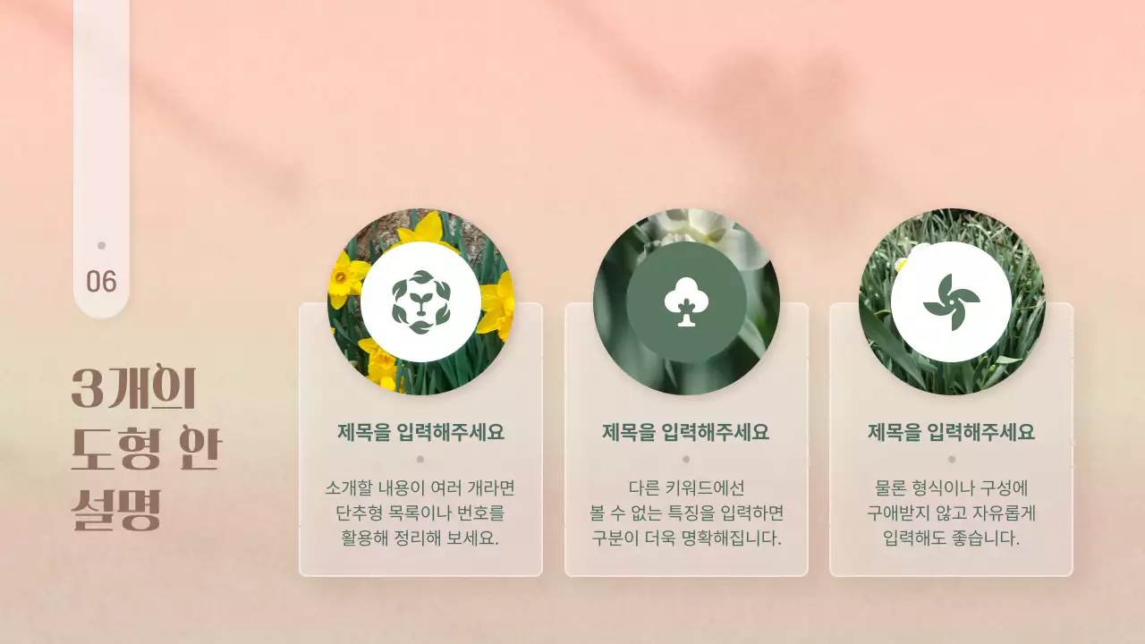 핑크색과 노랑의 심플한 겨울꽃 발표자료