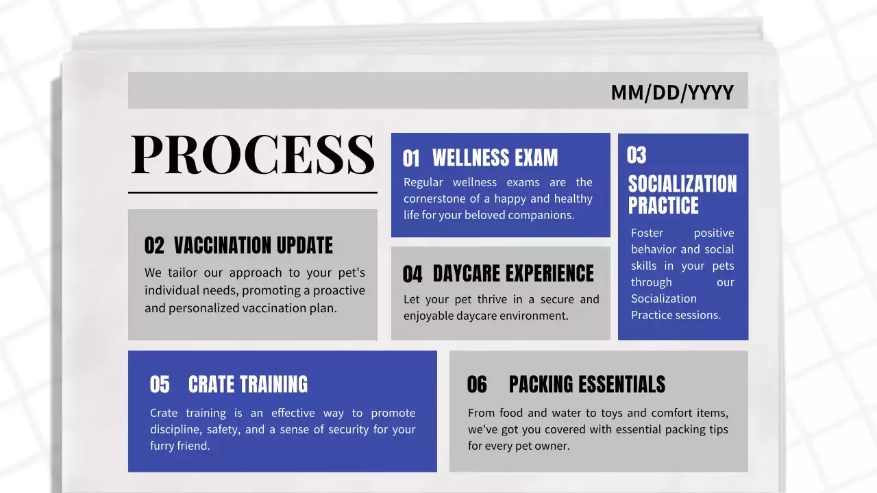 Blue Classic Pet Promotion Presentation