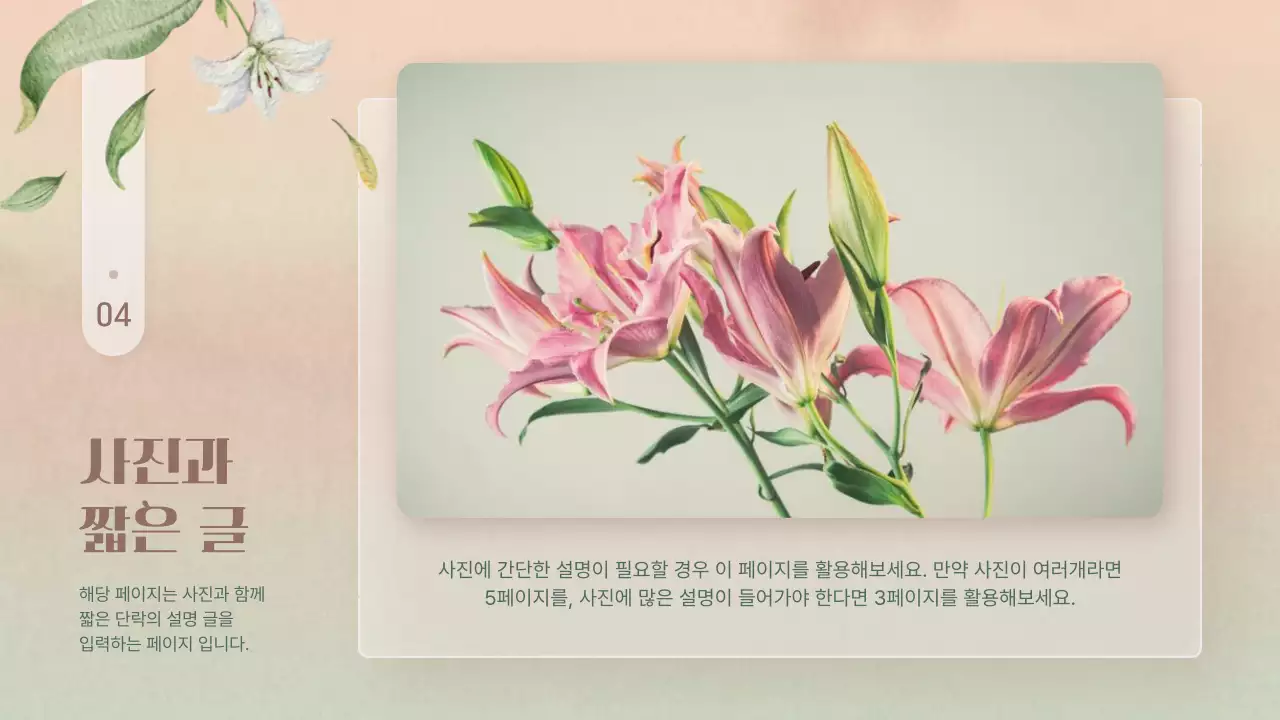 핑크색과 노랑의 심플한 겨울꽃 발표자료