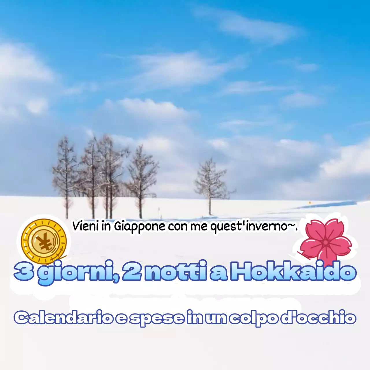 Consigli di viaggio per un semplice inverno bianco e blu in Giappone