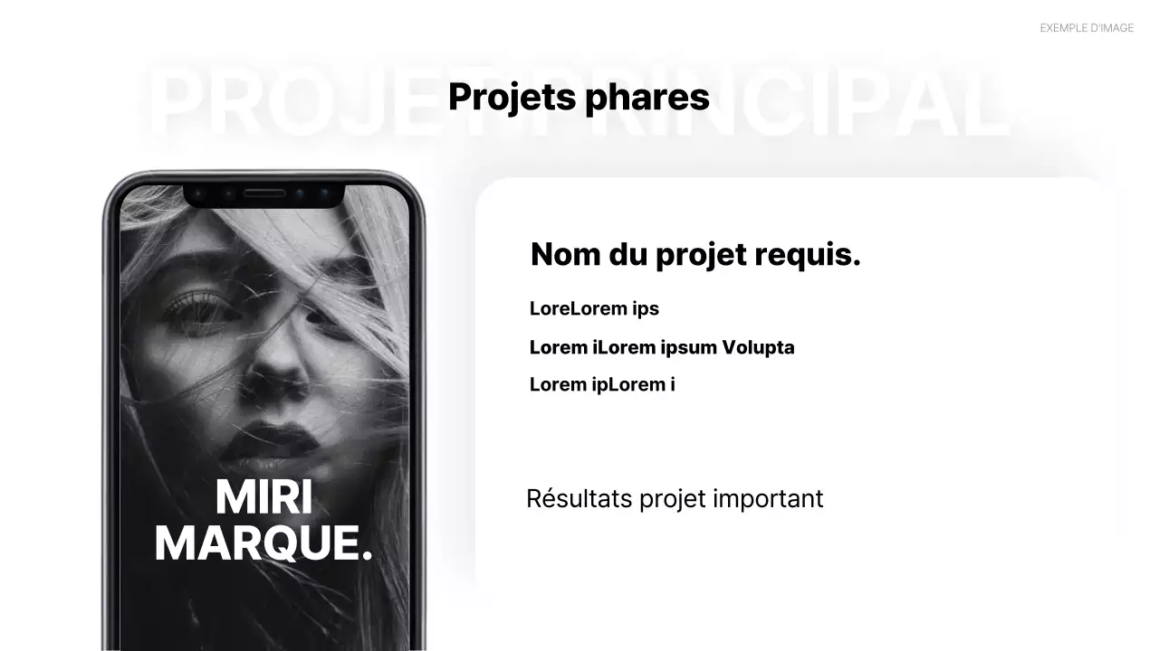 Portefeuille de CV simple sur fond blanc