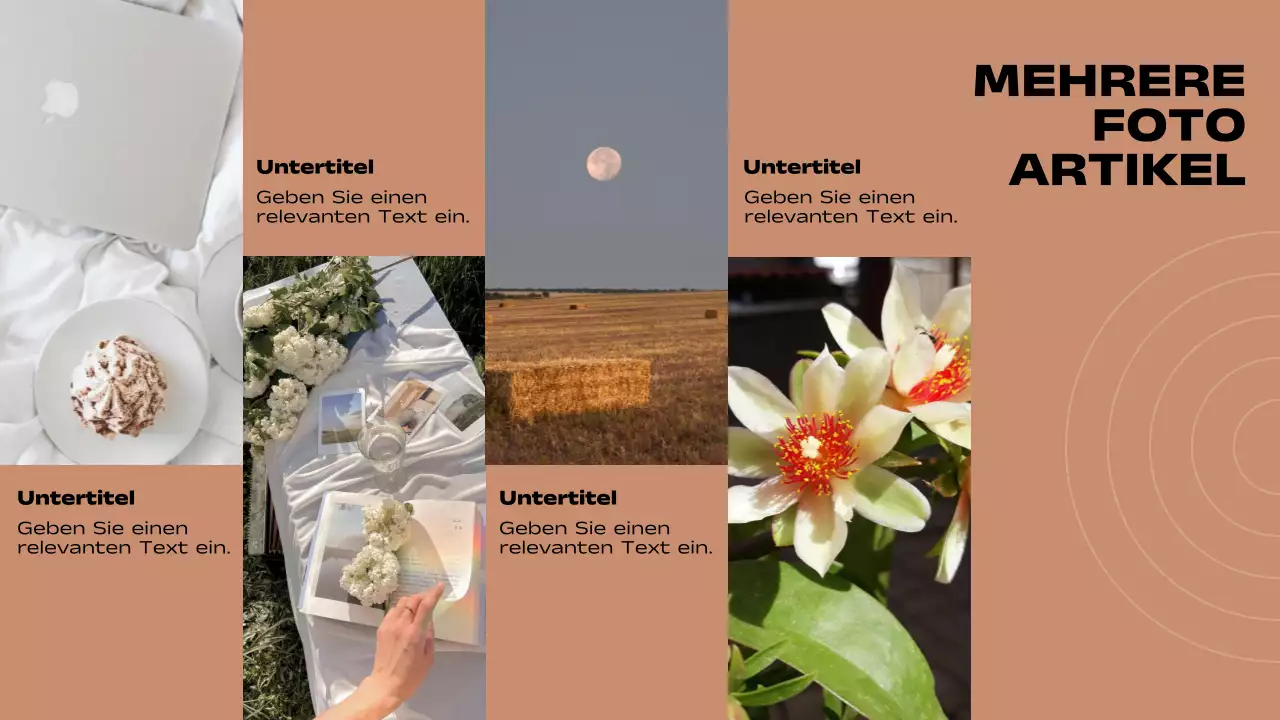 Brauner und schwarzer Minimal-Seitenbericht mit mehreren Layouts