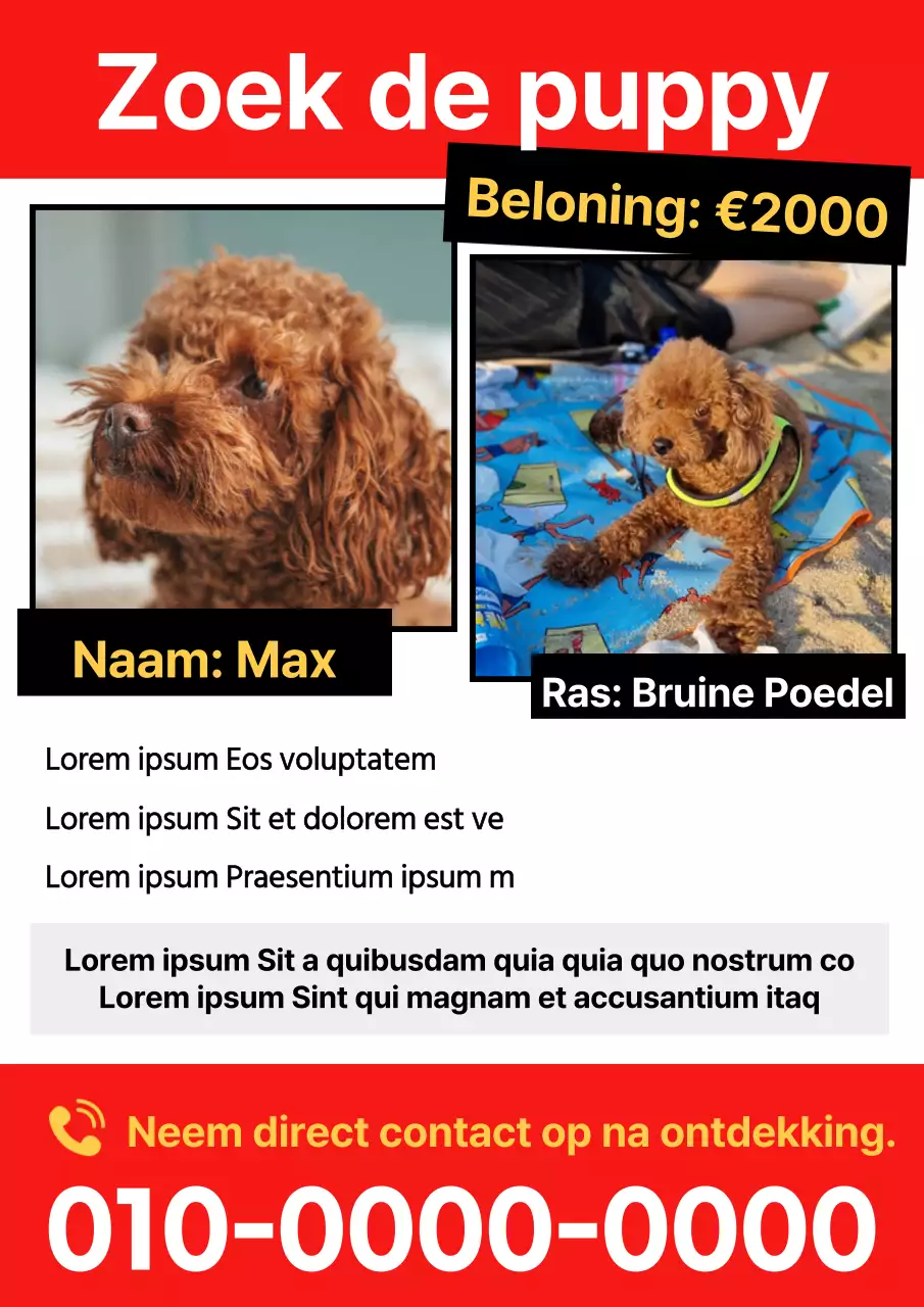 Plaats een eenvoudige rode flyer voor vermiste huisdieren