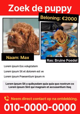 Plaats een eenvoudige rode flyer voor vermiste huisdieren