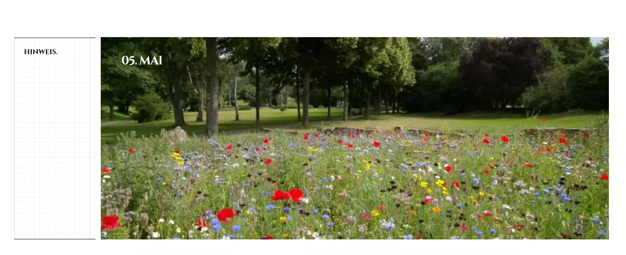 Einfacher Stil Wandkalender mit schwarz-weiß emotionalen Reisefotografie Konzept